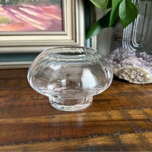 Mushroom Propagation Vase